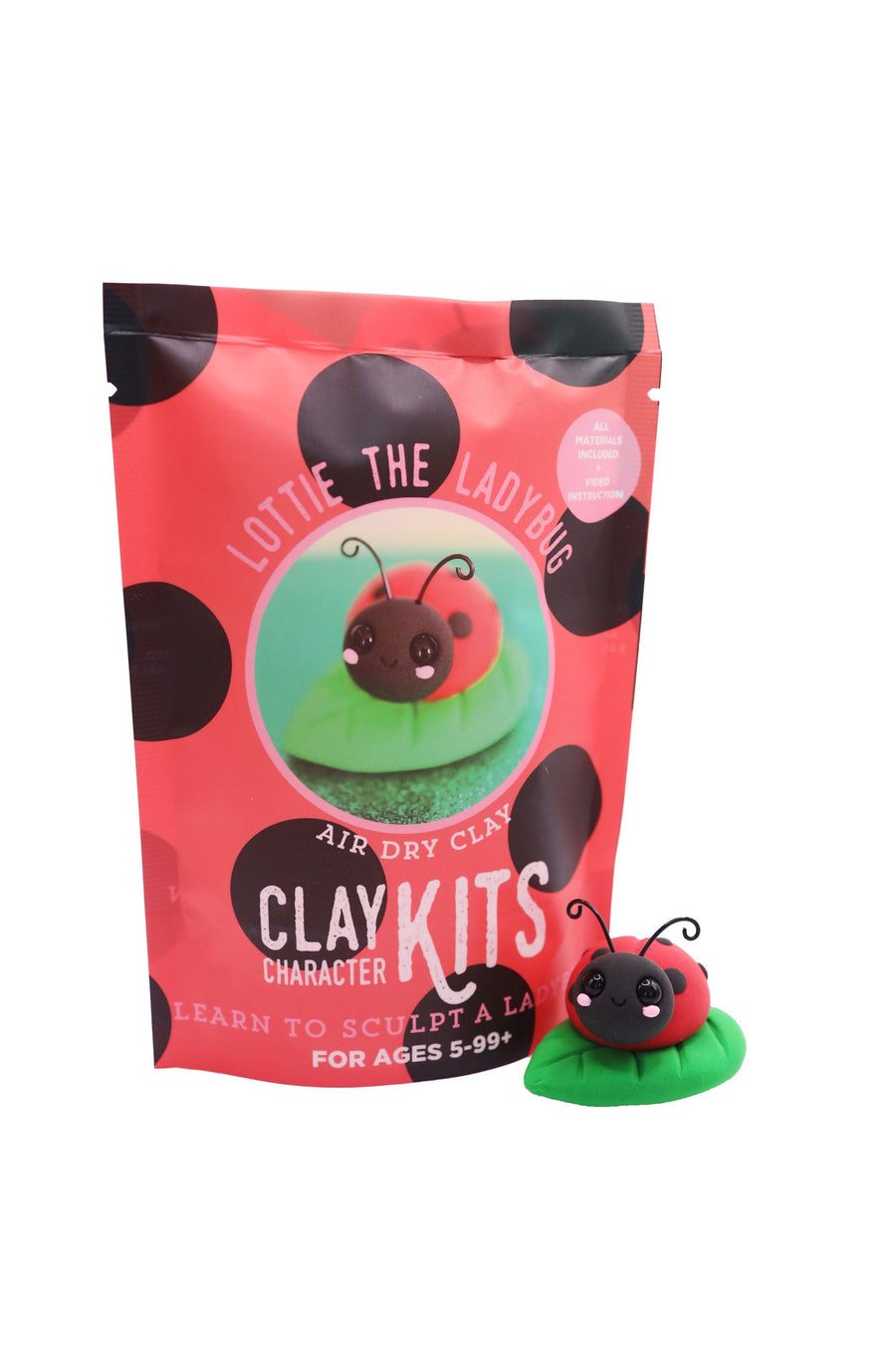 Clay kit packaging with a ladybug design on a white background